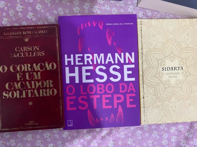 Livros novos de Hermann Hesse - 15 reais cada. O Coração é Um Lobo Solitário - 10 reais.