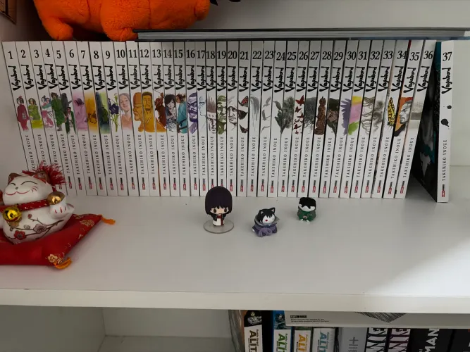 Coleção completa de Vagabond