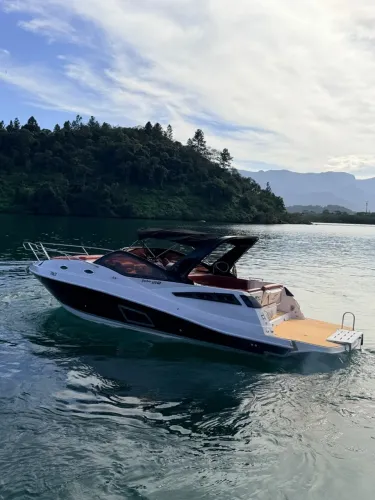 FOCKER 320 GT - 2 QSD 220hp Diesel DTS VESSELVIEW