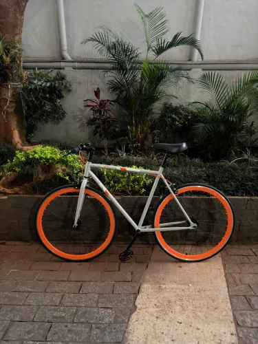 Bicicleta Night Riders (Caixinha)