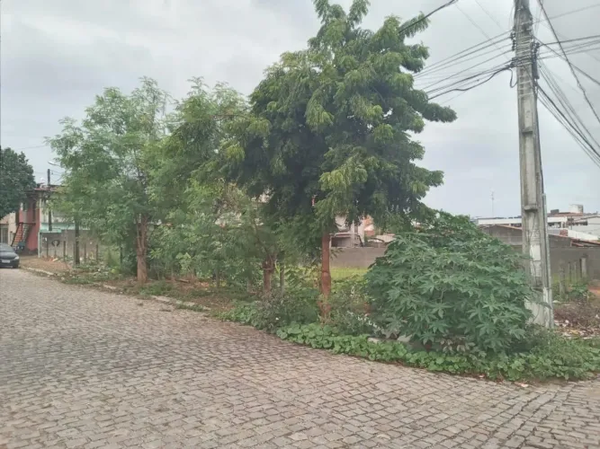 Terreno Padrão em Natal
