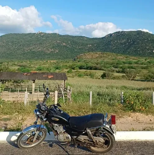 Suzuki entruder