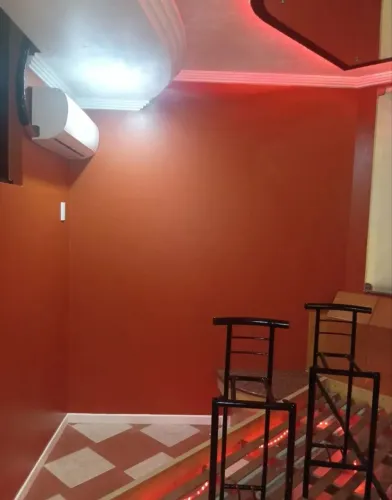 Pintor profissional 
