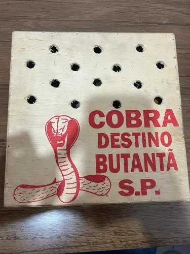 COBRA DO DESTINO BUTANTÃ