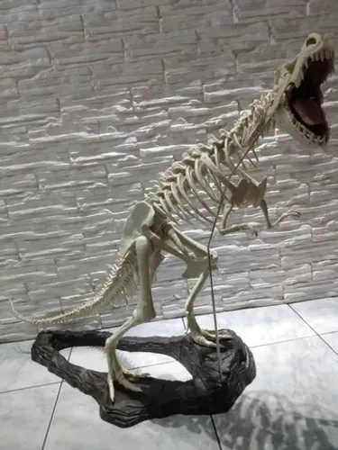 Esqueleto completo Tiranossauro Rex Salvat