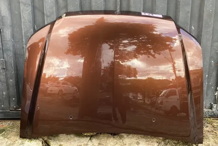 Capô Mitsubishi Pajero Tr4 2010 / 2015 Original
