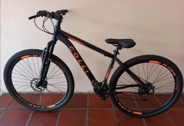 Bicicleta colli aro 29  aceito proposta.....chama