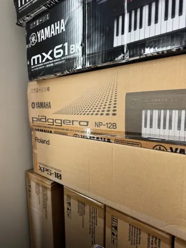 Teclado Yamaha Piaggero NP-12B