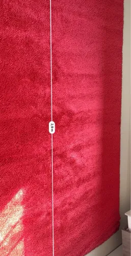 Tapete vermelho felpudo 2,90 x 2,50