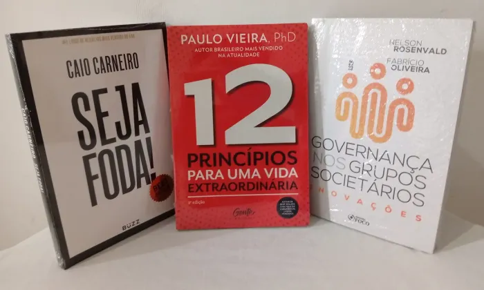 Seja Foda!, 12 Princípios, Governança