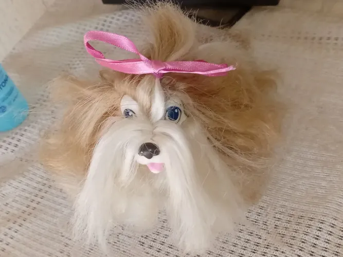 Cachorrinho estrela antigo fofis dog