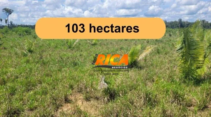 VENDE - SE UMA EXCELENTE FAZENDA  PORTO VELHO/RO