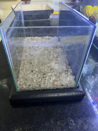 Aquário 8L