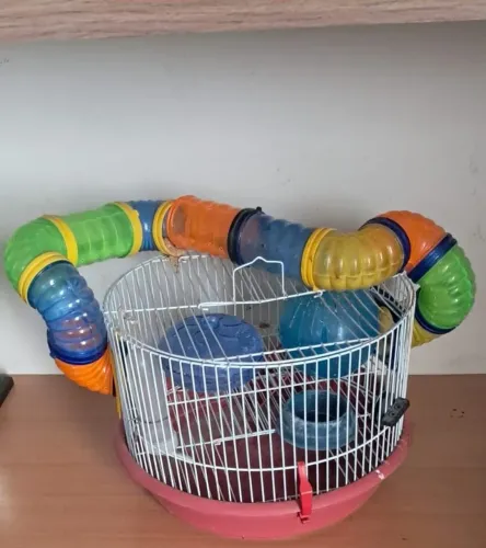 Gaiola de hamster com tubo