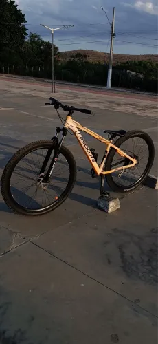 Bicicleta Absolute