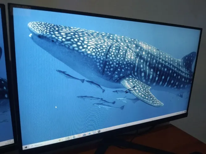 Monitor 21 polegadas Mancer