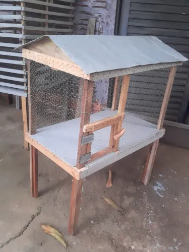 PRA VEND HOJE VIVERO NOVO TELA PASARINHO FININHA NAO ENTREGO RETIRA LOCAL 