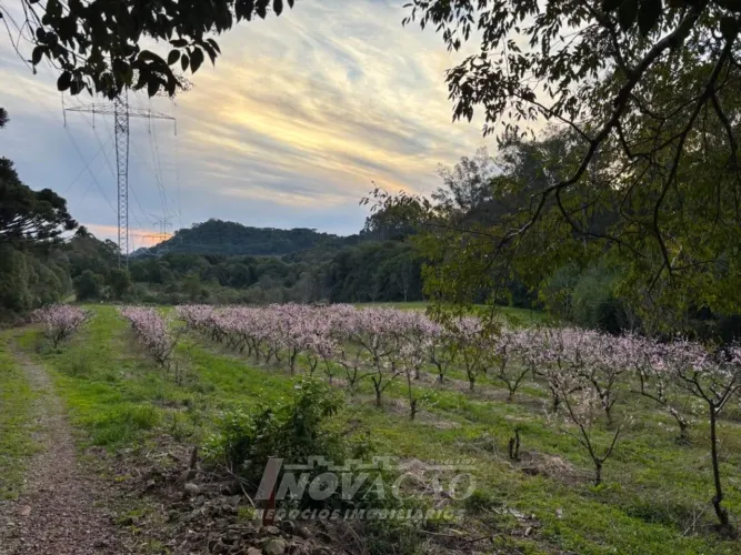 Chácara Vinhedos Caxias do Sul