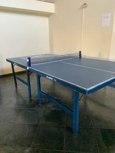 Mesa de ping pong oficial