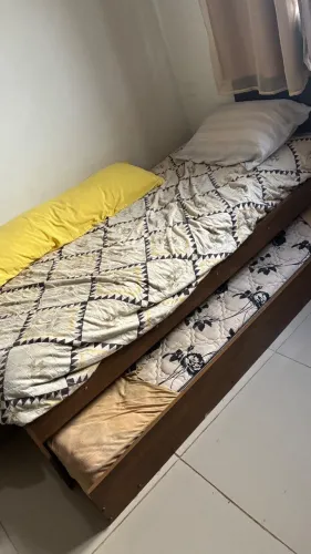 Bicama com colchão 