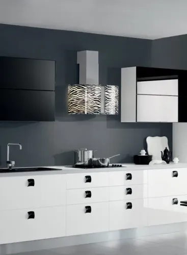 Coifa Falmec parede Design Italiano Zebra