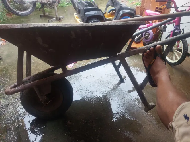 Carrinho de mão bruto 400$