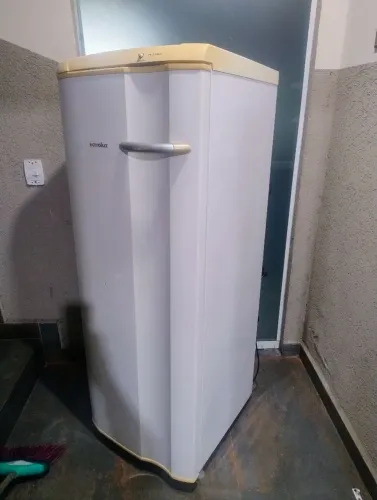 freezer vertical Electrolux posso entregar 