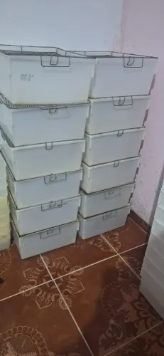 Caixaa biotério para ratos mercol e hamster