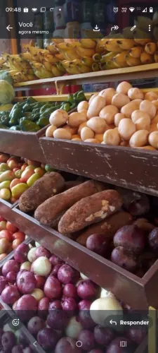 Vendo esse expositor de verduras e frutas.