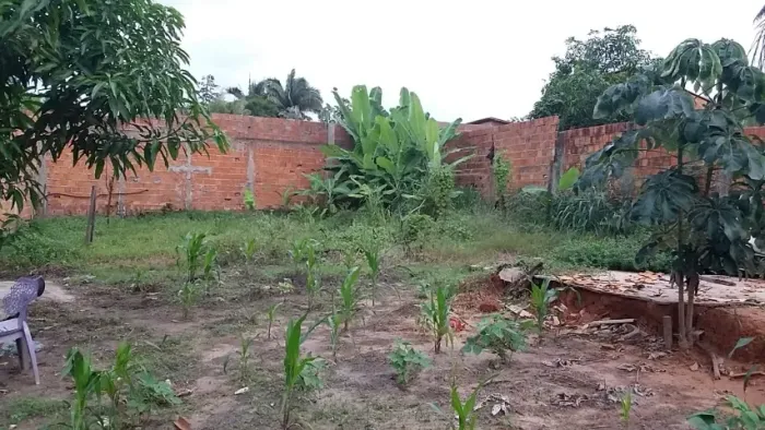 Vendo Terreno (lote) Tam.12,5x30mt