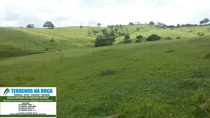 Fazenda em Oliveira/MG 450 Hectares, Com Muita Água Corrente E Nascentes