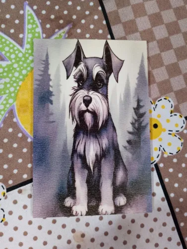 Kit 6 Quadros de Cachorro 10x15cm