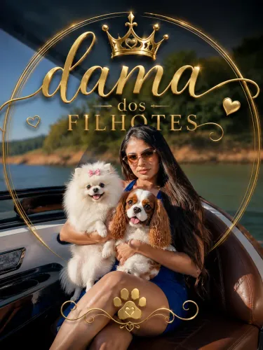 Spitz alemão Ursinho