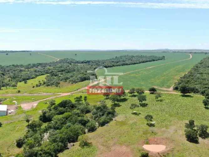 Fazenda 206,5 Alqueires (999,5 hectares) - Cachoeira de Goias - GO