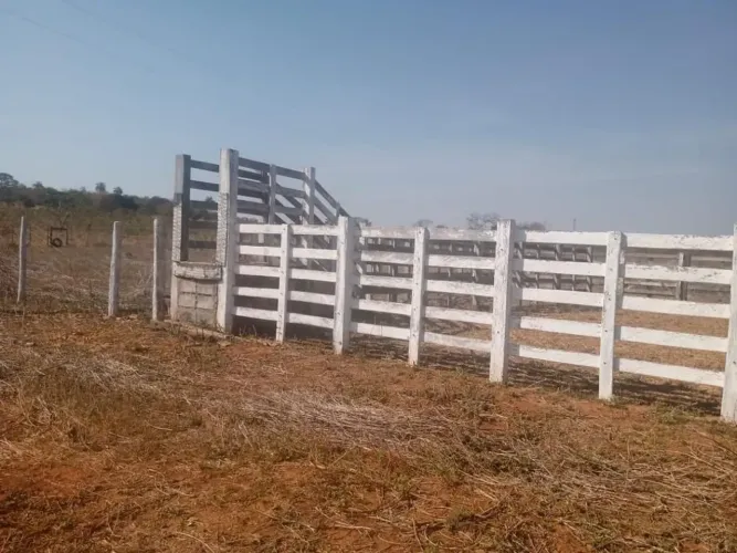 Dupla Aptidao,Pecuária ,Produção de frutas,4 poços Artesiano...Area 203 Hectares..