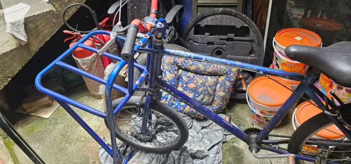 Bicicleta de carga 