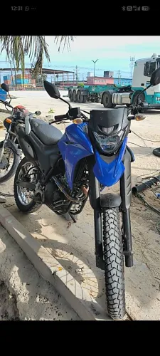 Vendo Lander 2022