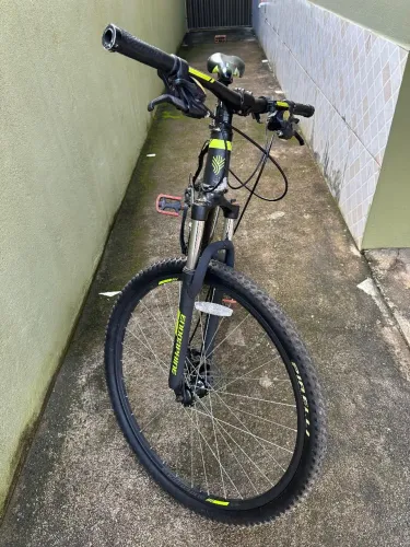 endorphine aro 29 