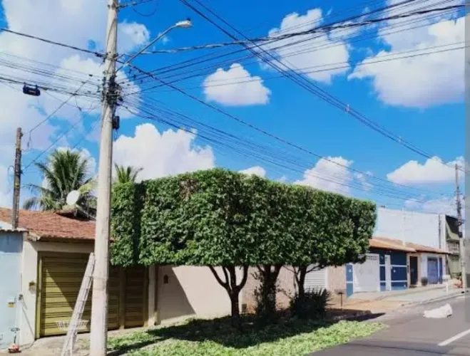 Podas de árvores e jardinagens 