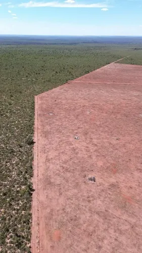 Fazenda com Potencial para Agricultura à Venda em Ponte Alta  TO | 2.420 Hectares