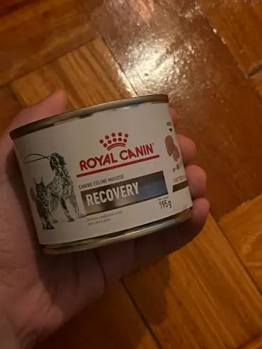 Royal Canin Recovery (7 latas)