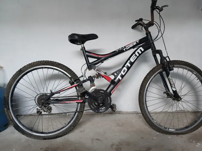 Bicicleta top totem