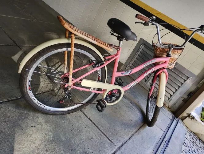 Bicicleta feminina