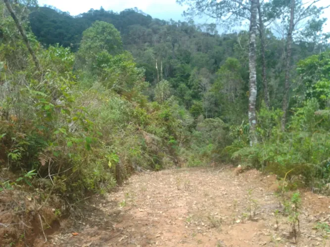 Sítio santa Maria de Araguaia perto 20 mil metros quadrados