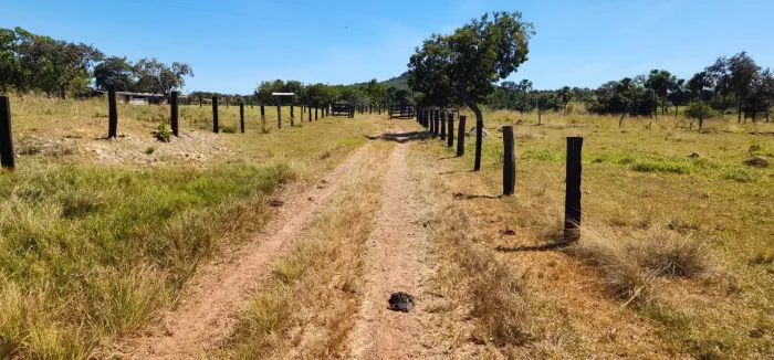 Fazenda à venda 17 alq Faina-Go