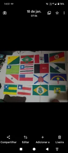 Bandeiras dos estados brasileiros ( pano)