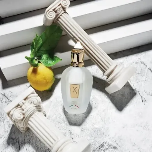 Perfume Xerjoff Naxos Eau de Parfum Unissex 100ML
