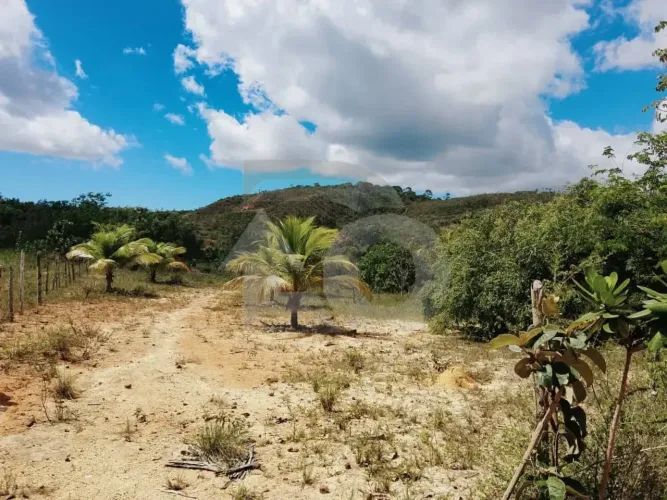 Terreno no Abaís: 1.970 m² Cercados e Prontos para Construir