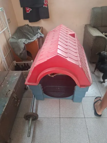 Casinha para Cachorro Porte Médio/Grande