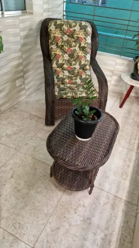 Venda de cadeira bambu